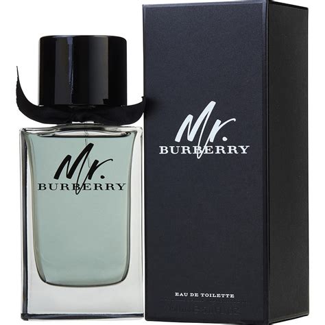 burberry mr.burberry eau de toilette|burberry eau de toilette men.